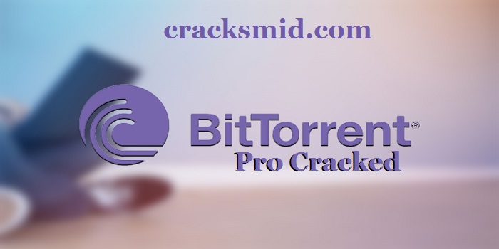 bittorrent pro serial key