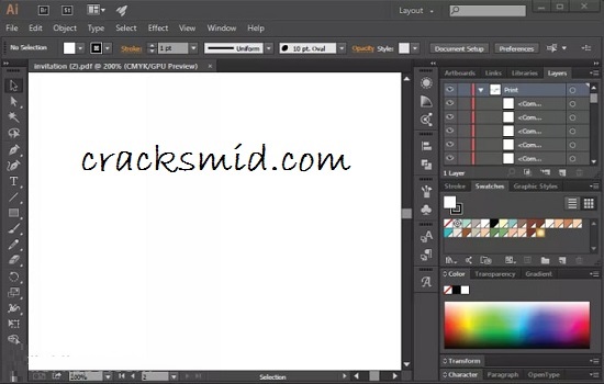 Adobe Illustrator CC Crack (2)