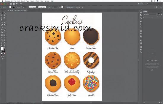 Adobe Illustrator CC Crack (3)