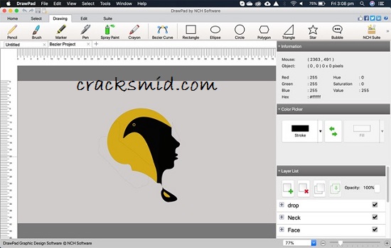 download the new for ios NCH DrawPad Pro 10.43