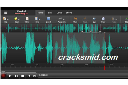 NCH WavePad Audio and Music Editor Crack (2)