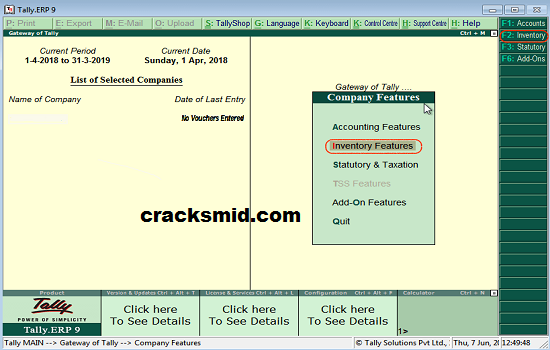 Tally ERP 9 Cracked