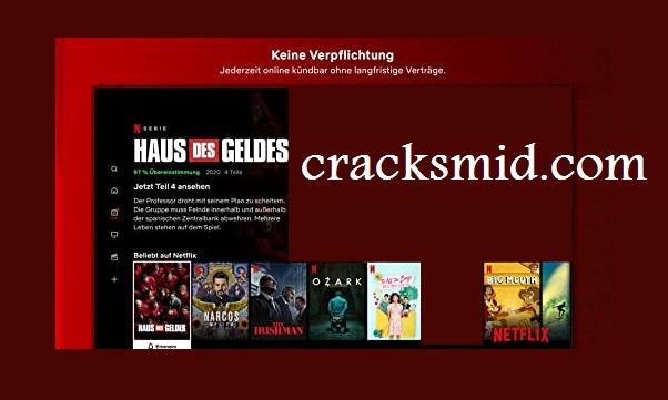 Netflix Premium Account