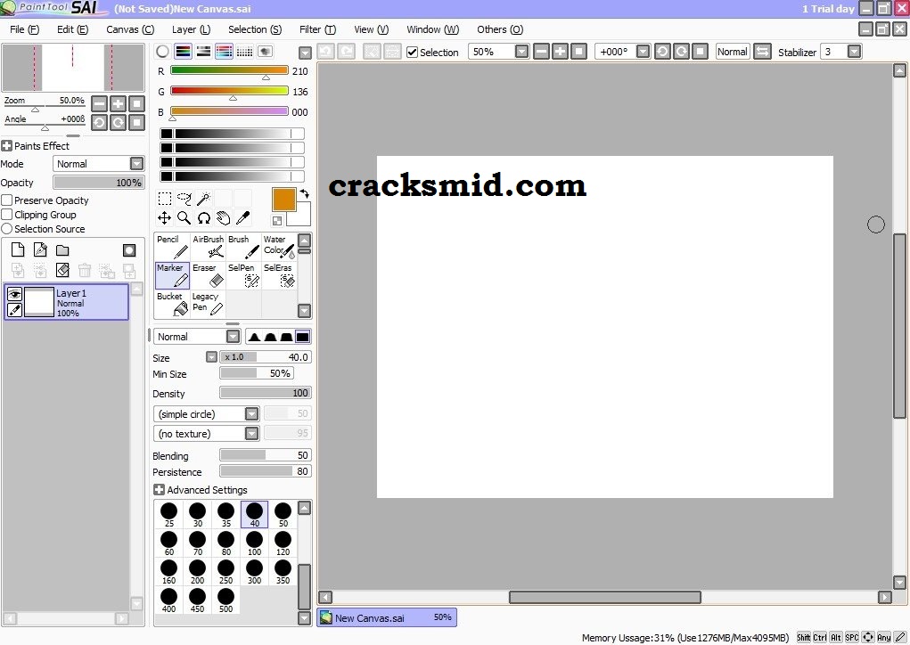 Paint Tool SAI License Number