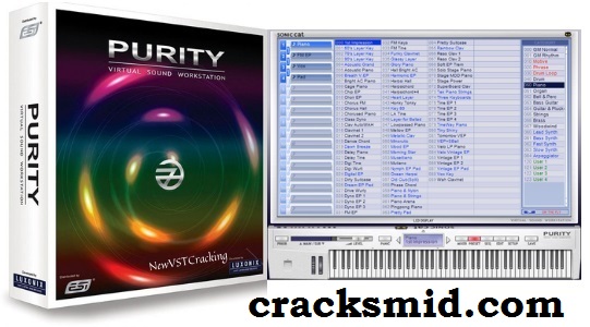 purity vst crack keygen